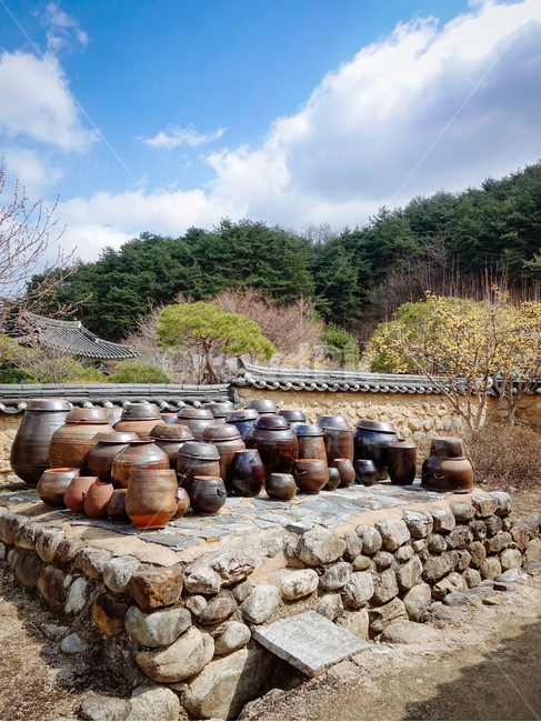 장독대,항아리,옹기,고택,뒷마당,한국전통,한국문화,korean traditional,korean culture