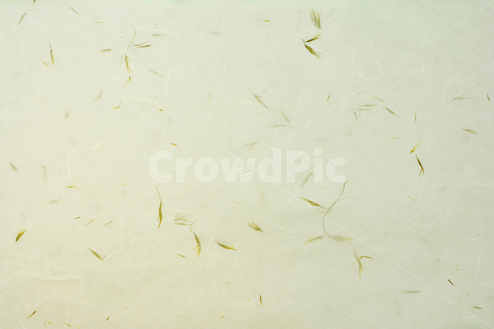 한지,종이,패턴,텍스쳐,전통,한국적,pattern,texture,korean,culture,traditional,기하학,추상,배경,바탕,백그라운드,background,디자인,라인,선,면,무늬,리듬,문화유산,아름다움,한국의미,장인,east,동양적,아시아,빈티지,vintage,앤틱,복고풍,레트로,paper,자연친화적,식물성,고유의,보존,기록,스며들다,펄프,제지,지류,pulp,한국전통,한국문화,korean traditional,korean culture,텍스처,질감,패턴,texture,pattern