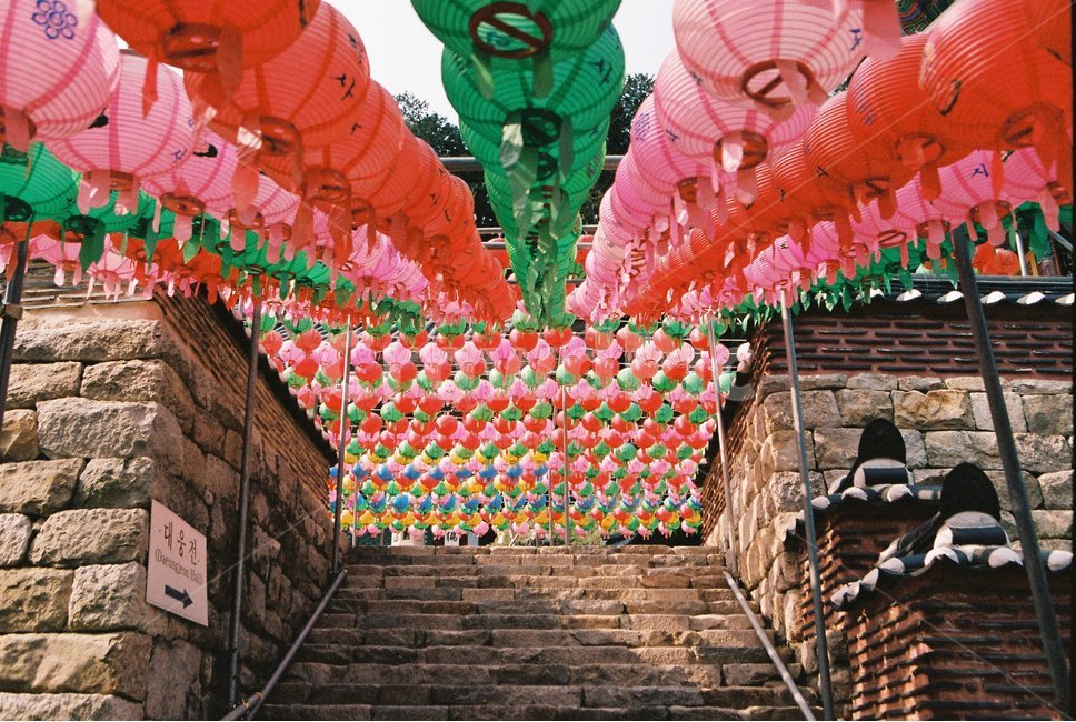 절,연등,건물,사찰,festival,종교,신앙,religion,belief,faith