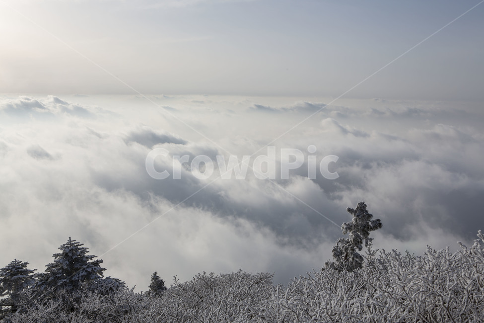 상고대,얼음꽃,눈꽃,운해,풍경,겨울,계절,winter,season,자연,풍경,nature,landscape,한국자연풍경,한국자연경관,korea nature landscape,outdoors,옥외,weather,날씨