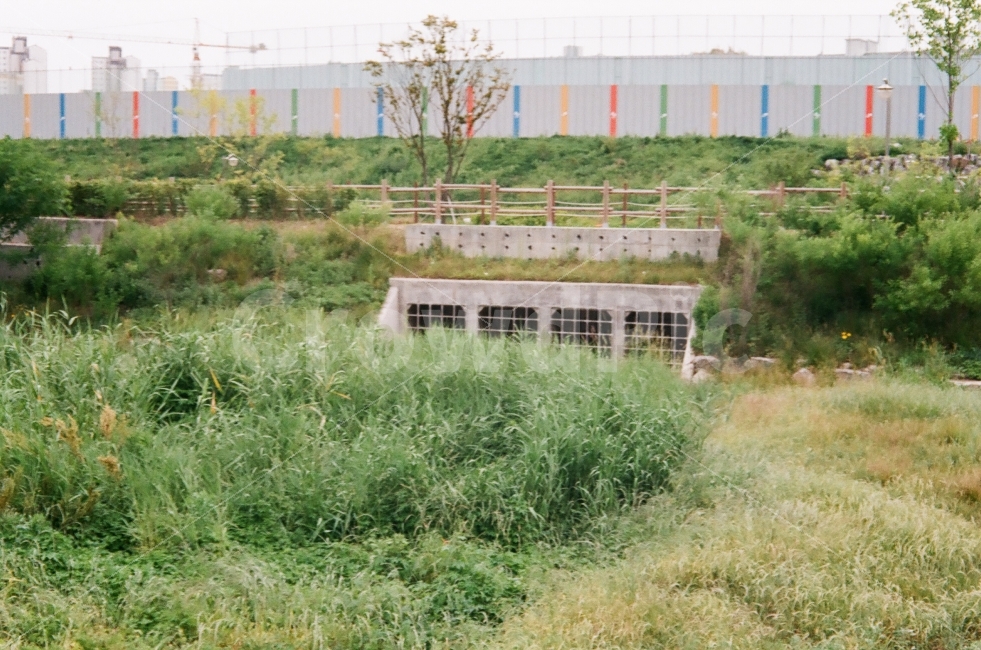 필름,필름사진,수변공원,동네,아날로그,산책,공사,수문,풀,film,fuji,walgreen,walk,green,waterside,park,35mm,도시,풍경,city,landscape,산업,industry,industrial,plant,식물,grass,잔디,bush,부시,vegetation,초목