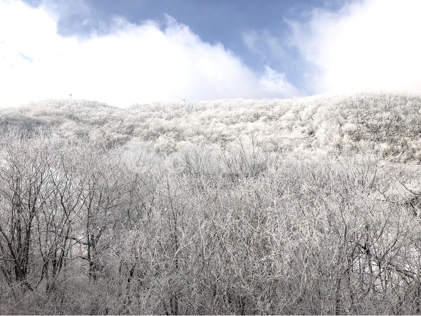 강원도,스키장,슬로프,눈꽃,설경,겨울,계절,winter,season,자연,풍경,nature,landscape,outdoors,옥외