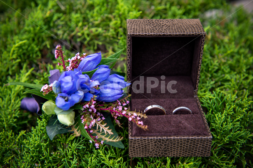 반지,커플,커플링,couple,ring,웨딩,wedding,꽃,flower,연인,커플,사랑,lover,couple
