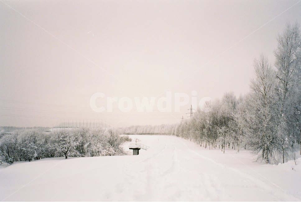 자연,nature,경치,풍경,눈,snow,winter,겨울,공원,outdoors,겨울,계절,winter,season
