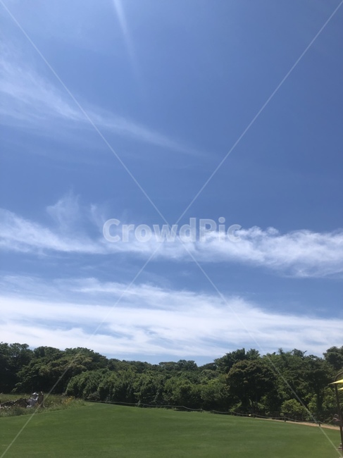 자연,푸른하늘,여름,풍경,들판,초원,맑은날씨,맑은날,sky,landscape,색깔,색상,feeling,감성,color,색채,색감,파란색,blue,bluesky,nature,colorsense,green,white