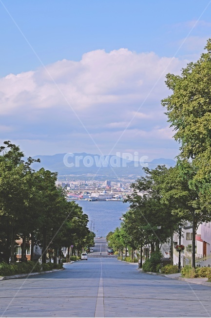 하늘,구름,전망,바다전망,도로,가로수,seaview,sky,cloud,road,도시,풍경,city,landscape,색깔,색상,색채,색감,color sense,color sensitivity,feeling of color,path,통로