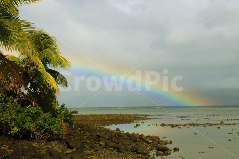피지,섬,바다,무지개,영롱,하늘,신비,rainbow,sea,island,람비섬,자연,풍경,nature,landscape,해변,바다,beach,sea,해외,외국,세계,foreign,oversea,world,outdoors,옥외