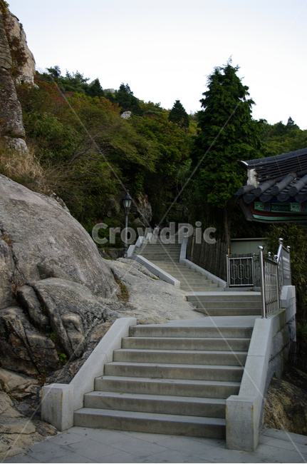 계단,암석,나무,풍경,보리암,자연,풍경,nature,landscape,한국자연풍경,한국자연경관,korea nature landscape,handrail,난간,banister