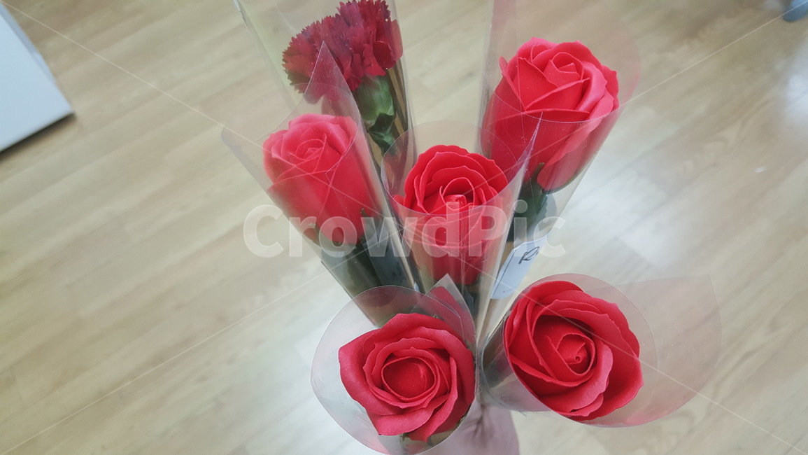 꽃,카네이션,식물,축하,기념일