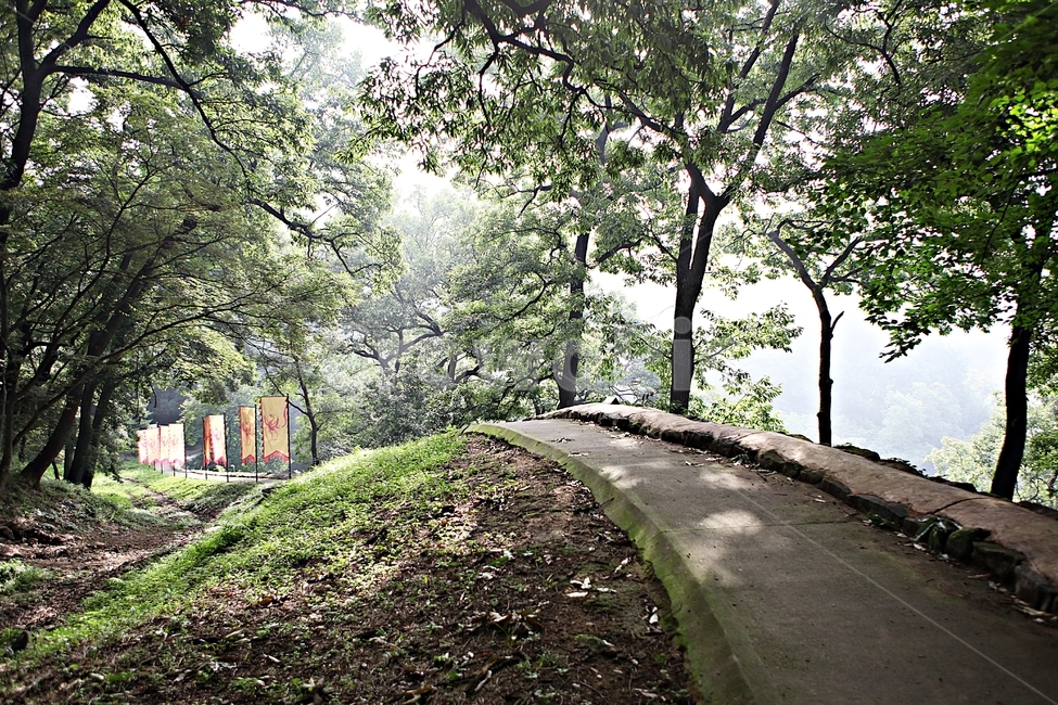 공주산성,산성,성,성곽,길,둘레길,숲,숲길,안개,담,돌담,여름,풍경,흙담,나무,식물,유네스코등제