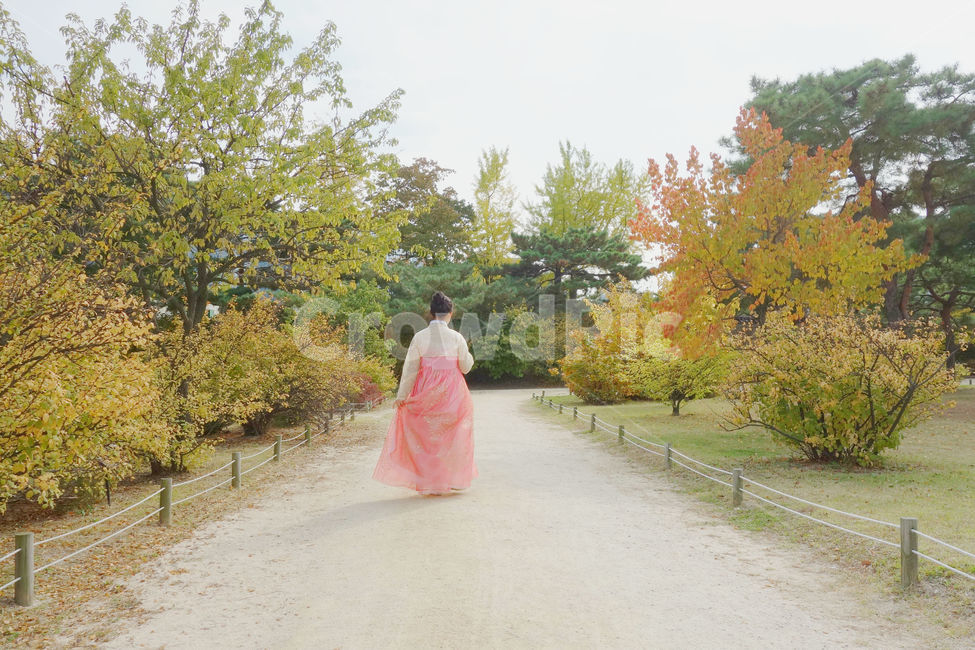 한복,사람,경복궁,전통의상,감성사진,여자,분홍,분홍색,소녀,색감,궁,girl,woman,가을,계절,fall,autumn,season,자연,풍경,nature,landscape,한국전통,한국문화,korean traditional,korean culture,사람,인물,인간,human,person,여성,여자,woman,female,lady,감성,sensible,feeling,fashion,패션,robe,옷,gown,겉옷,plant,식물