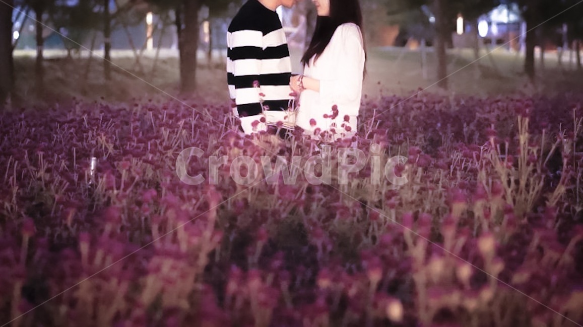 연인,커플,꽃밭,보라색,퍼플,천일홍,꽃,couple,flower,purple,flowergarden,globeamaranth,사람,인물,인간,human,person,연인,커플,사랑,lover,couple