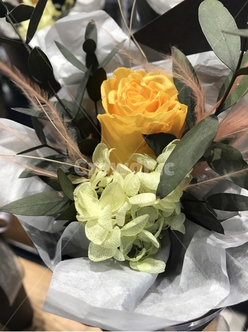 장미,꽃,노란,노란장미,부케,꽃다발,아름다운,향기,꽃,flower,기념일,축하,anniversary,congratulation,celebrate,celebration