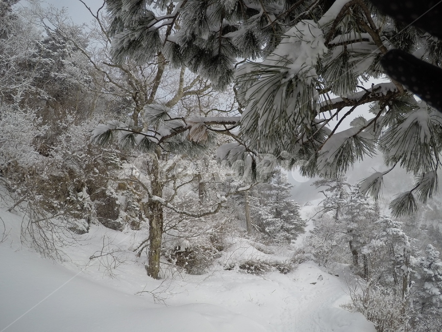 눈,설경,설산,지리산,겨울산,등산,자연,풍경,겨울,계절,winter,season