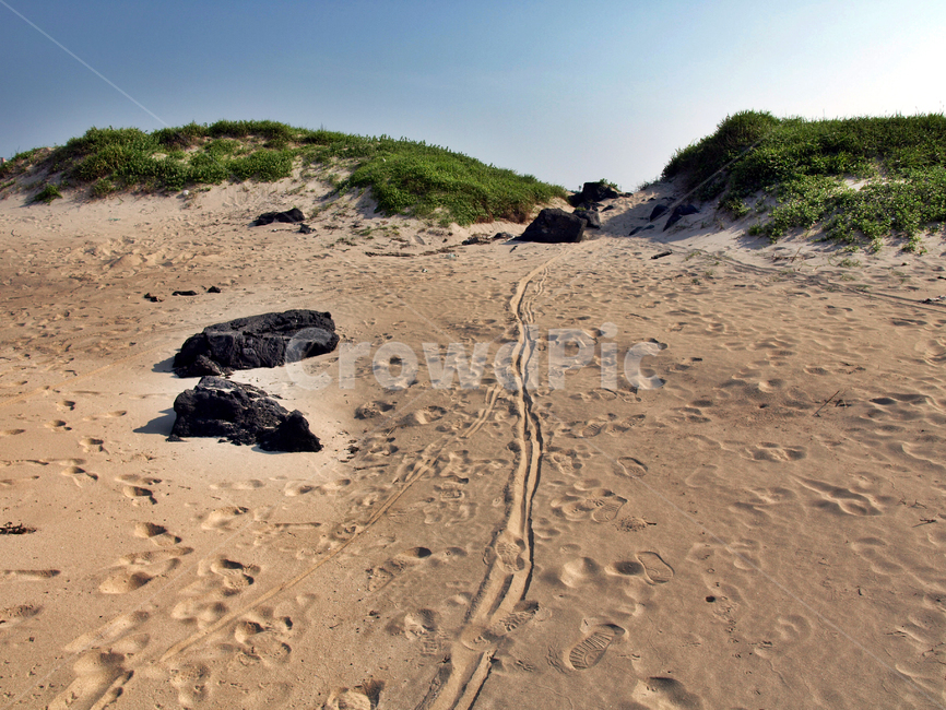 소금막해변,표선,올레3코스,올레,제주,서귀포,모래톱,발자국,자연,풍경,nature,landscape,ground,바닥,soil,흙