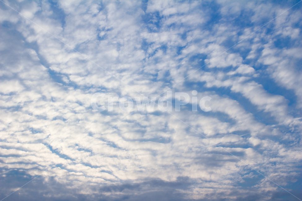 지진,전조,하늘,구름,지진운,물결,양털,하늘색,하얀색,빛,햇빛,햇살,자연,nature,cloud,한국자연,자연,풍경,nature,landscape,outdoors,옥외,sky,azure sky,푸른 하늘