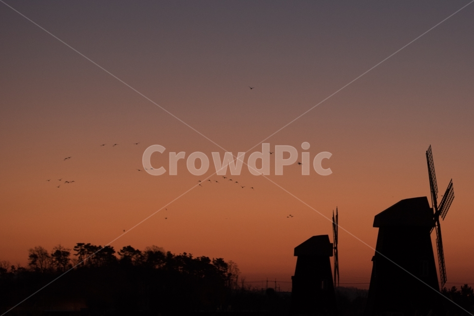 풍경,일출,풍차,철새,sunup,landscape,birds,감성,자연,풍경,nature,landscape,실루엣,그림자,silhouette,shadow,outdoors,옥외