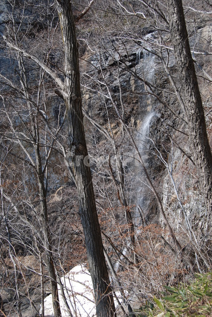 등산로,겨울,나무,자연,winter,겨울,계절,winter,season,식물,자연,plants,nature,나무,trees,wood