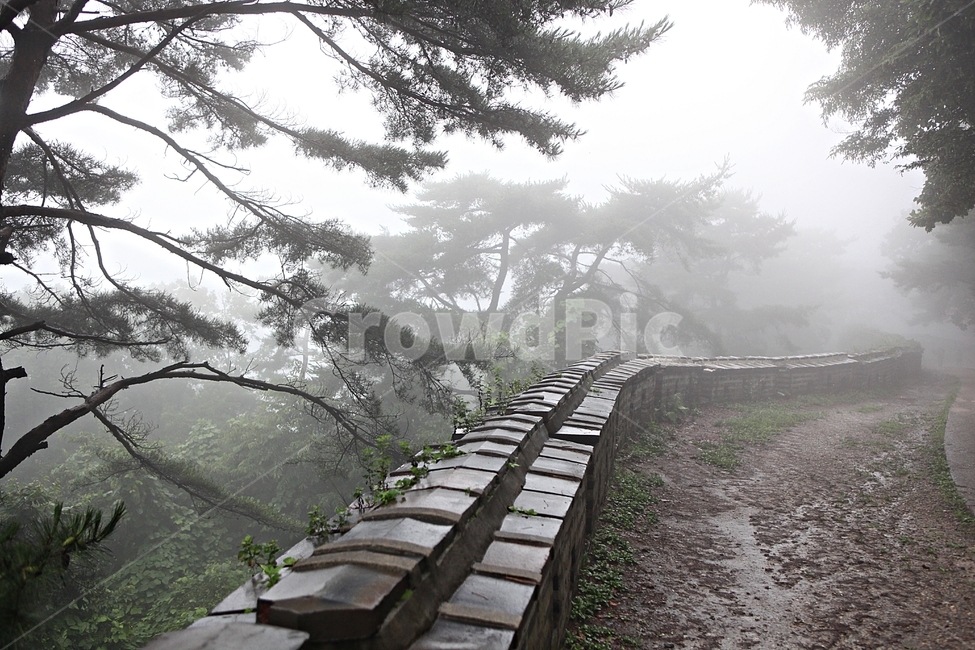 남한산성,성,성곽,길,둘레길,안개,담,돌담,숲,숲길