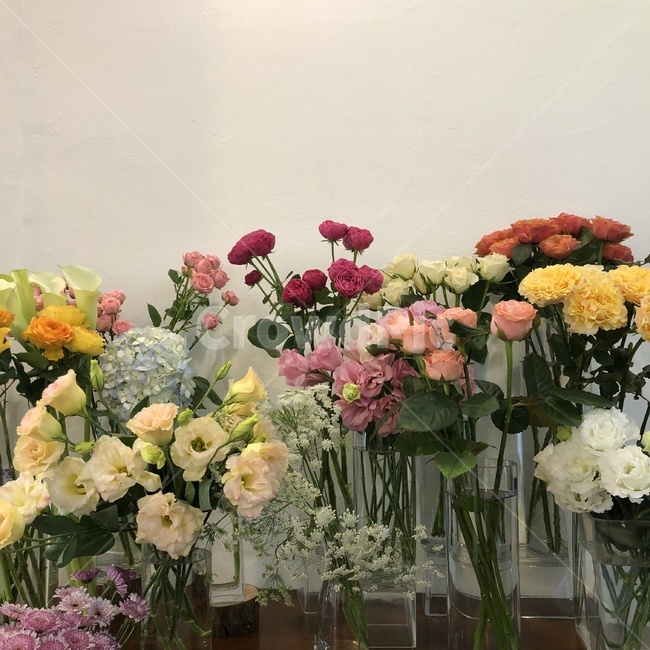 꽃,꽃병,flower,향기,장미,꽃,flower