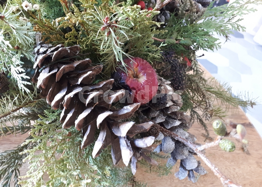 솔방울,사과,식물,미니사과,plant,식물,자연,plants,nature