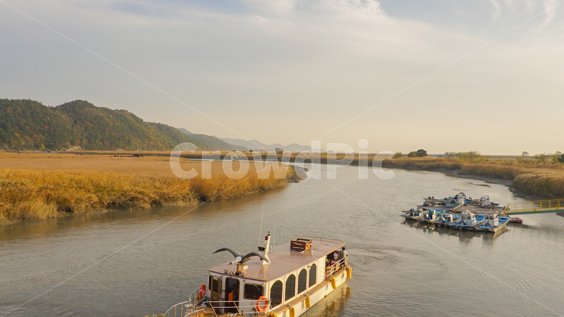 가을,갈대,갈대밭,계절,가을감성,갈색,황금빛,fall,nature,landscape,풍경,자연,가을,계절,fall,autumn,season,자연,풍경,nature,landscape,한국자연풍경,한국자연경관,korea nature landscape,transportation,교통,watercraft,선박,vehicle,차량,boat,보트,barge,짐배