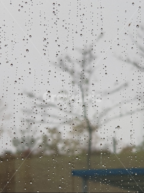 여름,summer,rain,물방울,구름