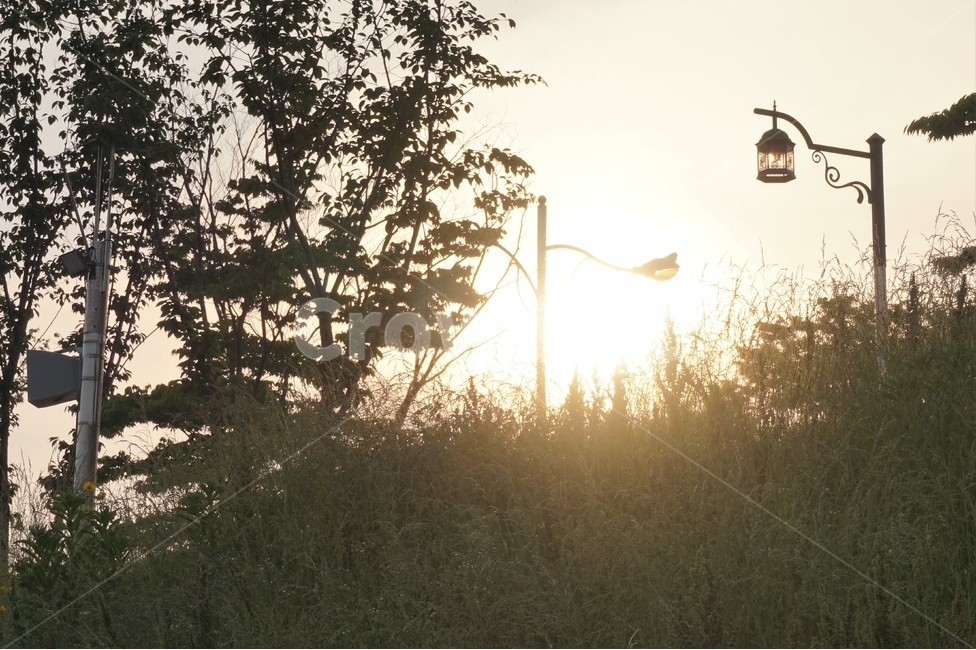 아침,일출,산책로,공원,아침햇살,morninglight,sunrise,trail,park,nature,자연,풍경,nature,landscape,flare,플레어,light,빛,sunlight,햇빛