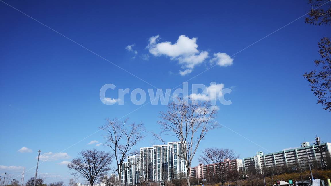 한강,한강반포,하늘,강,물,한강반포지구,풍경,잔잔한,도시,풍경,city,landscape,grass,잔디,plant,식물