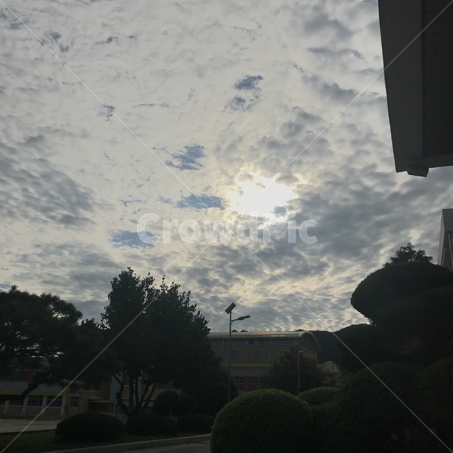 구름,하늘,자연,정자,식물,옥외,plant,tree,나무,outdoor