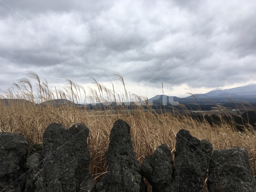 현무암,제주도,오름,풍경,basalt,구름,cloud,산,landscape,jejudo