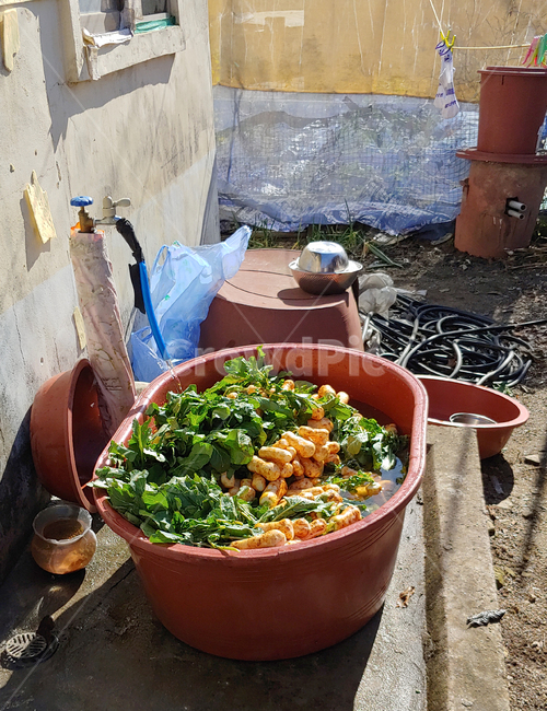 김장,한국김치,알타리김치,시골,대야,물,김치,음식,식재료,요리,food,cook,meal,dishes,food reserves