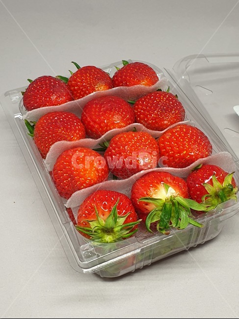 딸기,과일,strawberry,스트로우베리,스트로베리,fruit,프룻,후루츠,후르츠,상품,투명케이스,플라스틱케이스,식품,식자재,식재료,사물,오브젝트,object
