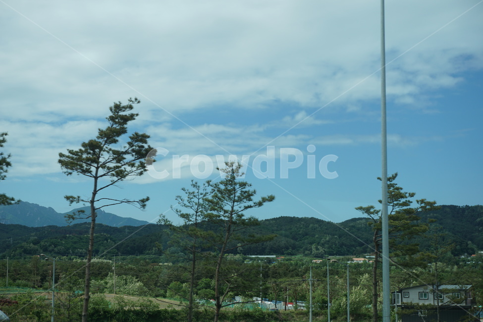 들판,산,마을풍경,여름,봄,나무,초록색,정겨움