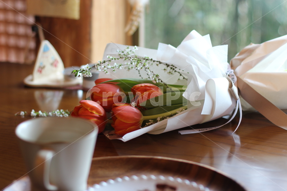 꽃,컵,실내,flower,cup,포커스,집중,아름다움,매력,튤립,주황색튤립,주황색꽃,사진구도,선물,사랑,기쁨,행복,여자친구,고백,산뜻함,꽃선물,카페,꽃,flower,기념일,축하,anniversary,congratulation,celebrate,celebration