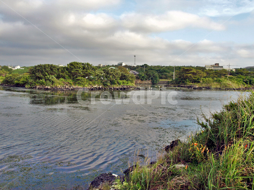 대섬,철새도래지,조천읍,제주,올레18코스,올레길,자연,풍경,nature,landscape,water,물,land,땅,outdoors,옥외