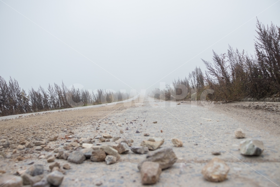 길,도로,안개,돌멩이,풀,자연,풍경,nature,landscape,road,dirt road,흙길,gravel,자갈,ground,바닥