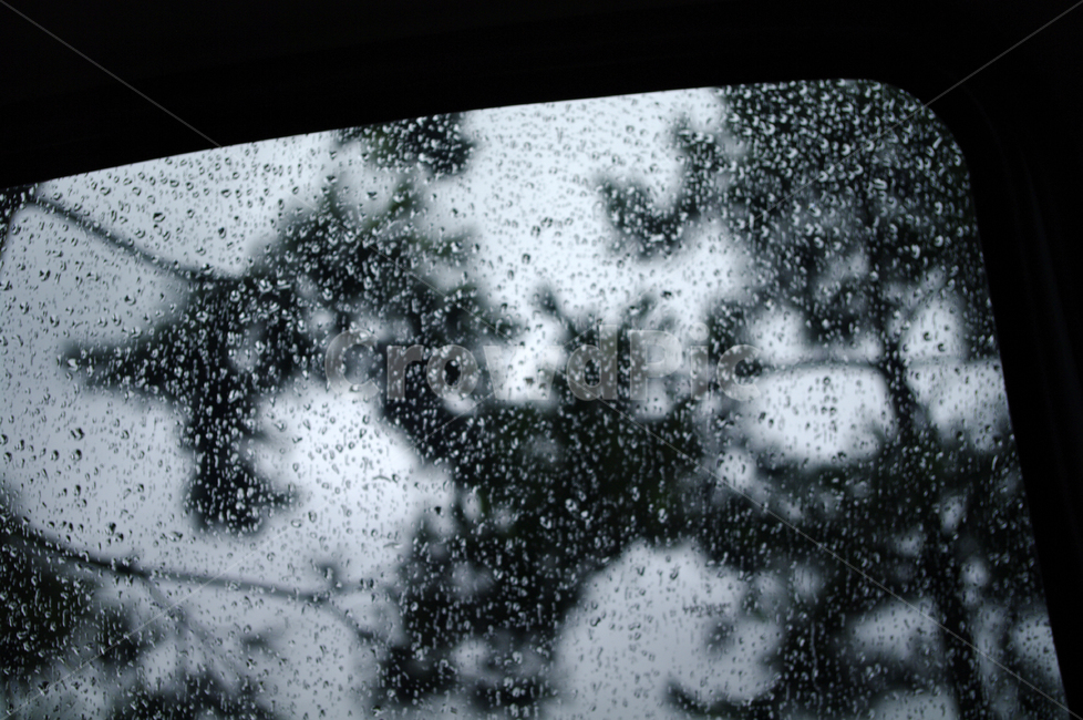 비,창,물방울,빗방울,rain,비,비오는날,rain,rainy