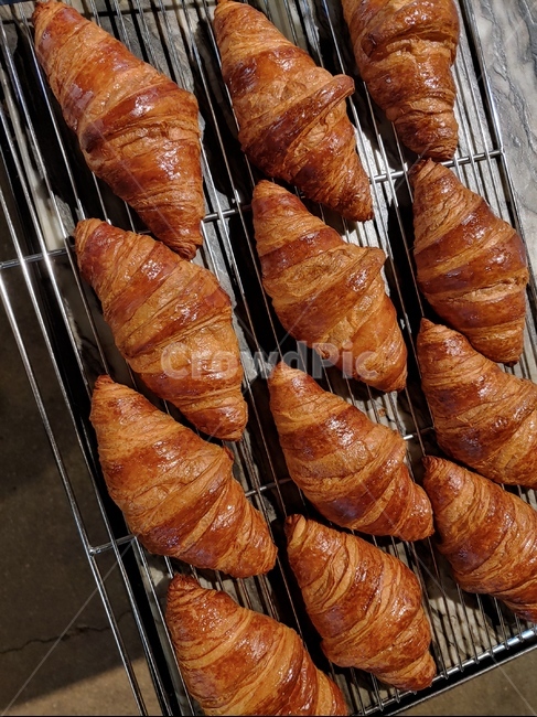 빵,크루아상,노릇노릇,갓구운,카페,음식,식재료,요리,food,cook,meal,dishes,food reserves,빵,bread