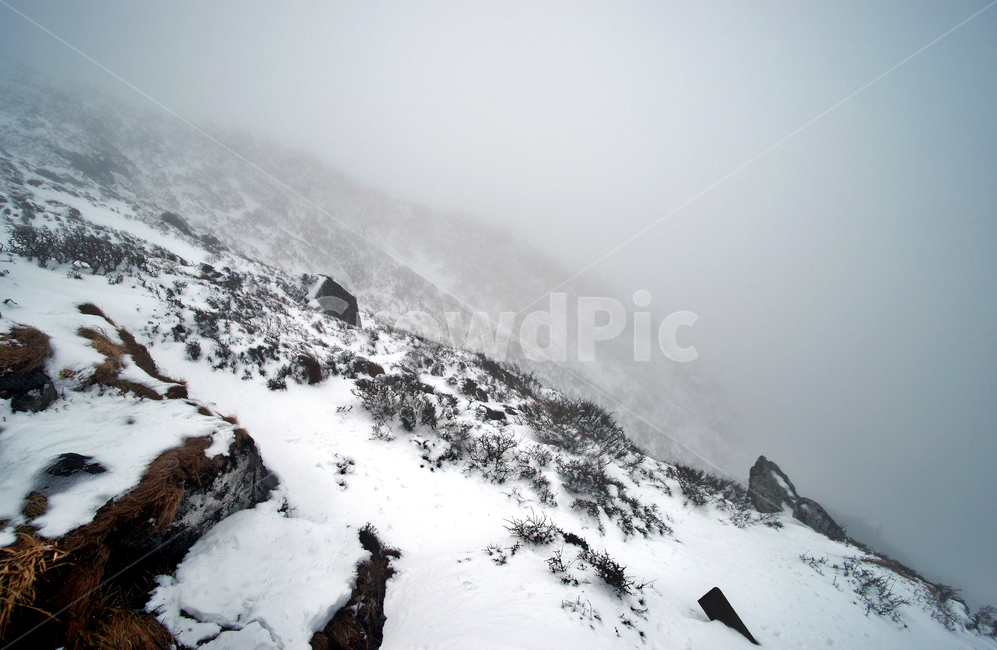 한라산,설경,제주도,영실코스,눈,겨울,설화,안개,겨울,계절,winter,season