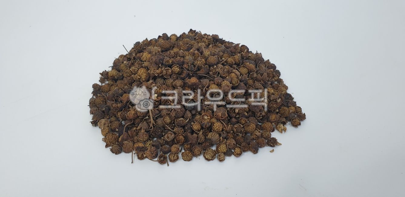 복분자, 한약, 약초, 동의보감, 한의원, 사진,이미지,일러스트,캘리그라피 - 아카리작가