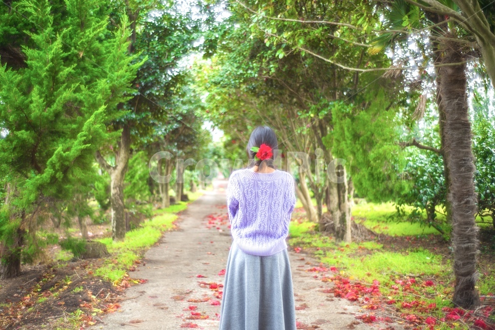 제주,봄날,동백,꽃잎,사람,여자,풍경,동백터널,감성사진,제주도,jeju,jeju island,사람,인물,인간,human,person,여성,여자,woman,female,lady,여행,휴가,traveling,vacation,trip,사진작가,포토그래퍼,photographer,감성,sensible,feeling,휴식,힐링,rest,relaxation,healing,apparel,의복,clothing,의류