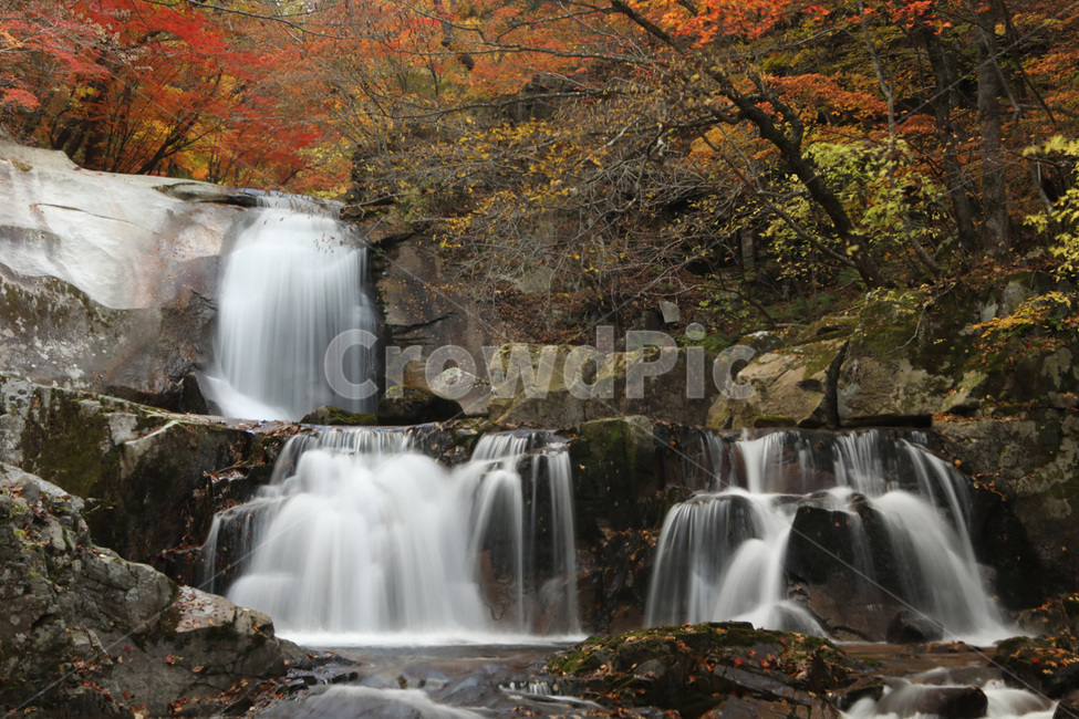 폭포,나무,경치,자연,물,단풍,가을,계절,fall,autumn,season,자연,풍경,nature,landscape,식물,plants,water,river,강,outdoors,옥외,waterfall