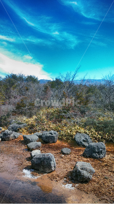 한라산1100고지,람사르습지,outdoors,옥외,nature,자연,파란하늘,흰구름,자연,풍경,nature,landscape