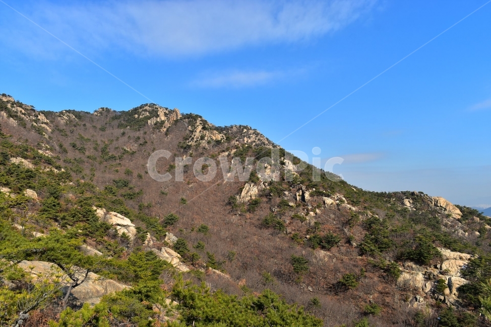 관악산,풍경,겨울,자연,눈,스포츠,등산,산행,nature,snow,겨울풍경,느낌,아름다운,신비로운,경이로운,기암,바위,암봉,암릉,다큐,필,힐링,명산,landscape,winter,season,트레킹,100대명산,인기명산,조망,전망,정부청사,6봉,수목원능선,바윗길,암릉길,명품송,소나무,명품코스,관양능선,자연,풍경,nature,landscape,한국자연풍경,한국자연경관,korea nature landscape,outdoors,옥외,hill,언덕
