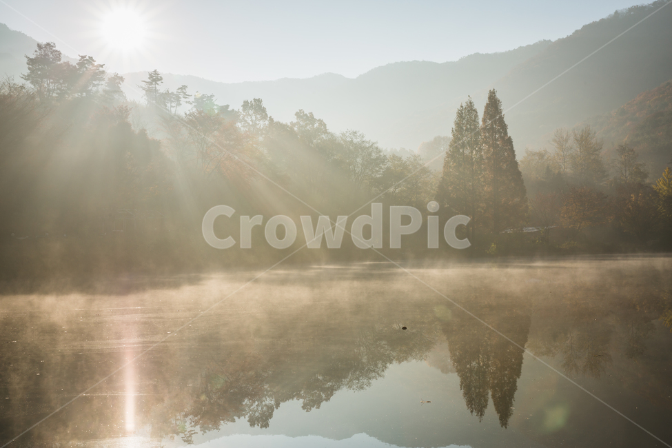 빛내림,가을,단풍,낙엽,일출,햇살,가을,계절,fall,autumn,season,자연,풍경,nature,landscape,한국자연풍경,한국자연경관,korea nature landscape,weather,날씨,outdoors,옥외,fog,안개,mist
