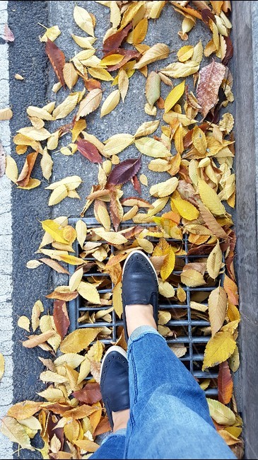 낙엽,가을,픙경,일상,길,가을,계절,fall,autumn,season,사람,인물,인간,human,person,신체일부,몸,body