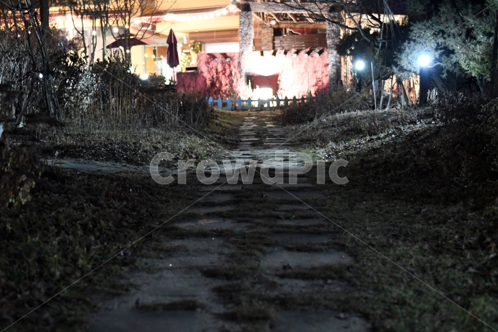 길,야경,겨울,공원,밤,야경,밤,풍경,nightscape,night,landscape,outdoors,옥외
