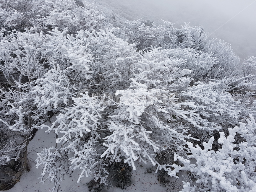제주,겨울,한라산,눈꽃,눈,jeju,winter,hallamountain,snow