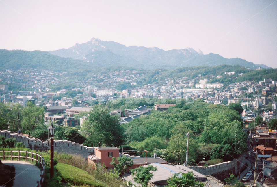풍경,남산,성곽,산,마을,이화마을